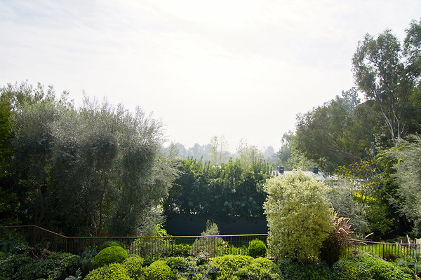 DSC 4058
