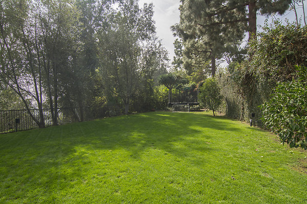 DSC 4087