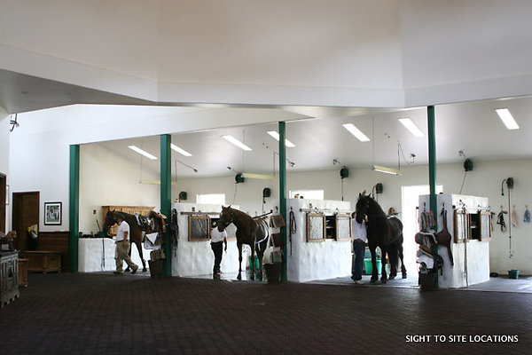 DDDD - Int. Stables  - Another Angle -Day