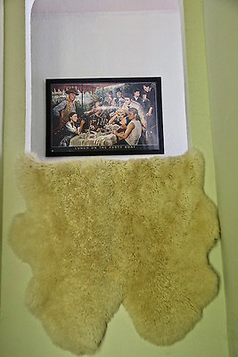IMG 9995