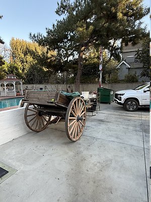 IMG 7835