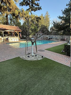 IMG 7751