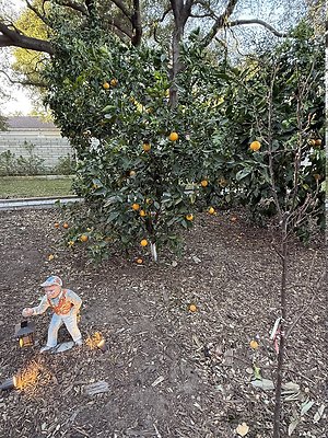 IMG 7858