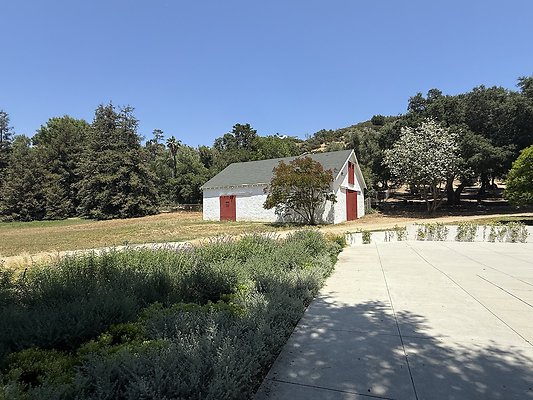 IMG 9536