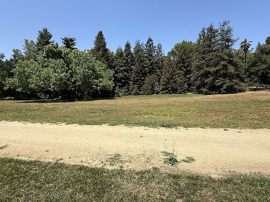 IMG 9538