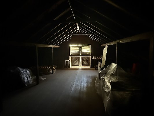 IMG 9573