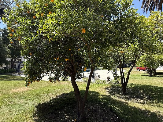 IMG 9619