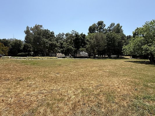 IMG 9556