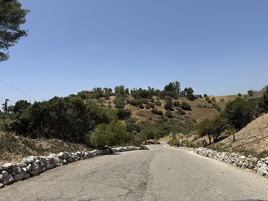 IMG 9453