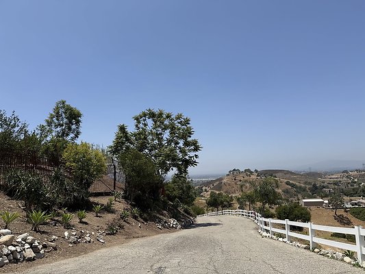 IMG 9444