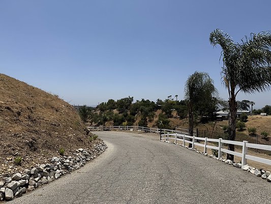 IMG 9447
