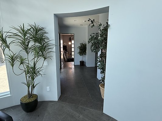IMG 9207