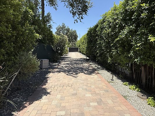 IMG 0350