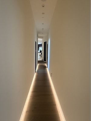IMG 0235