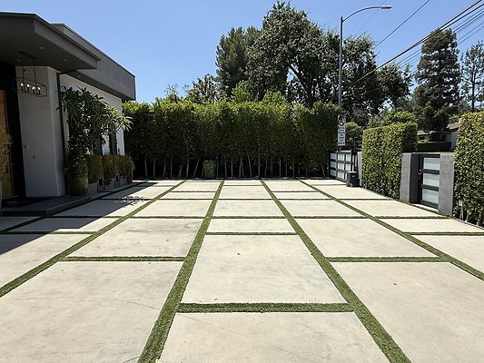IMG 0140