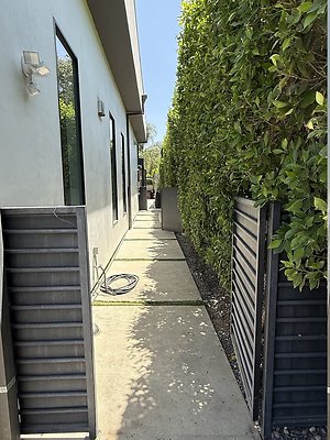 IMG 0141
