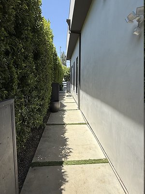 IMG 0142