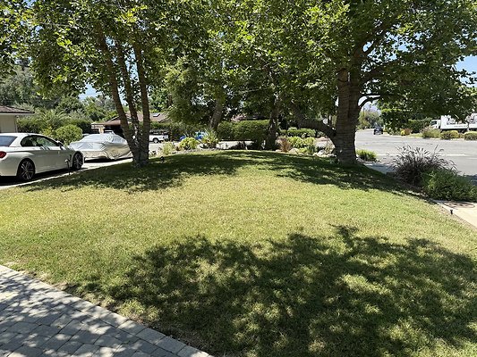 IMG 0587