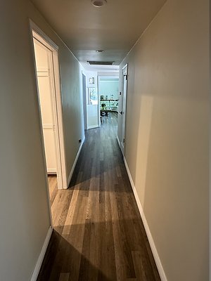 IMG 0519