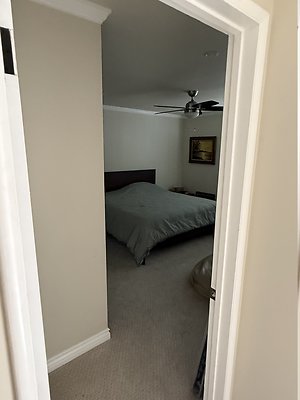 IMG 0499