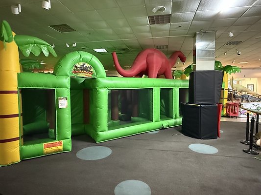 IMG 2967 Large IMG 2967 Large