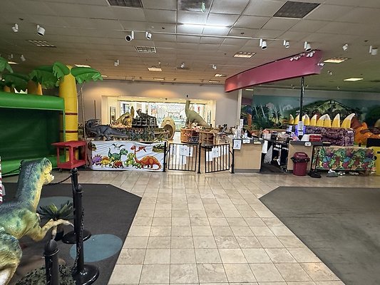 IMG 2965 Large IMG 2965 Large