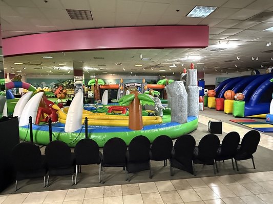 IMG 2951 Large IMG 2951 Large