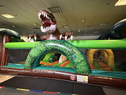 IMG 2977 Large IMG 2977 Large