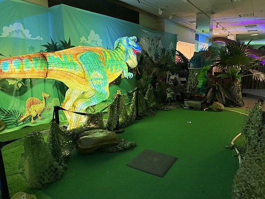 IMG 2990 Large IMG 2990 Large