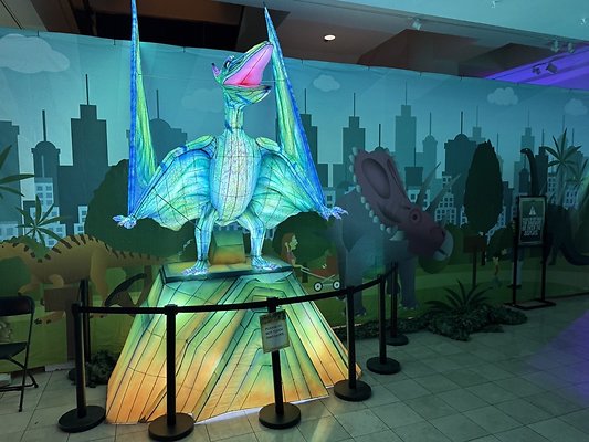 IMG 3001 Large IMG 3001 Large