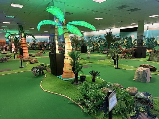 IMG 2991 Large IMG 2991 Large