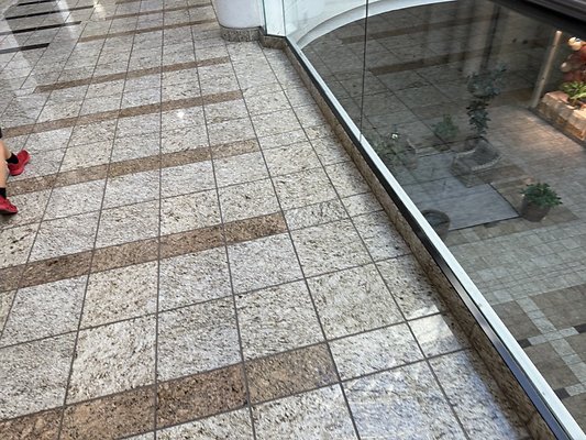 IMG 2984 Large IMG 2984 Large