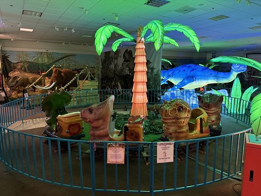 IMG 2997 Large IMG 2997 Large