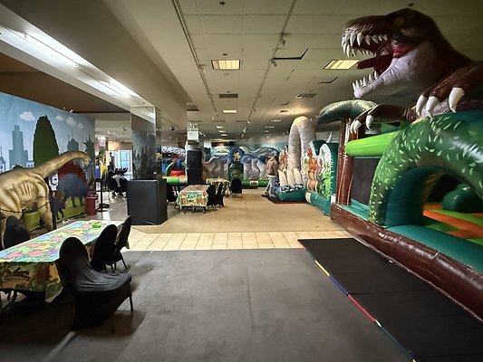 IMG 2979 Large IMG 2979 Large