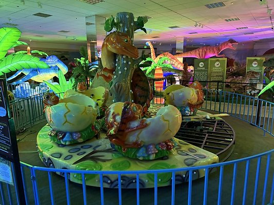 IMG 2998 Large IMG 2998 Large