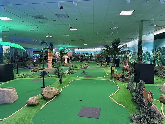 IMG 2986 Large IMG 2986 Large