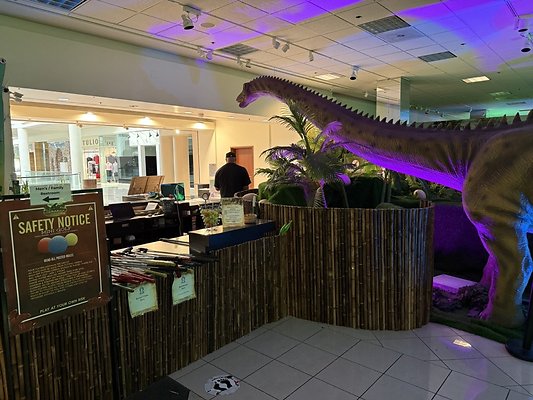 IMG 2995 Large IMG 2995 Large