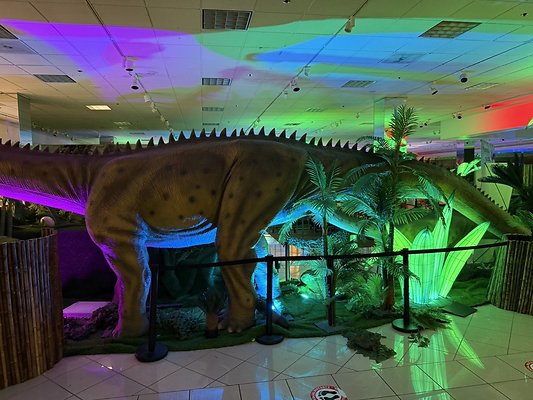 IMG 2996 Large IMG 2996 Large