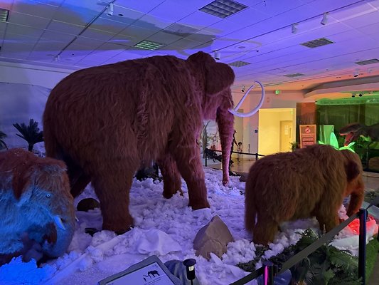 IMG 3007 Large IMG 3007 Large