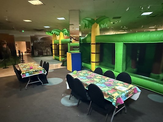 IMG 2969 Large IMG 2969 Large