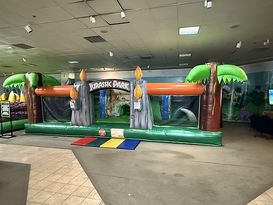 IMG 2958 Large IMG 2958 Large