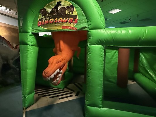 IMG 2972 Large IMG 2972 Large