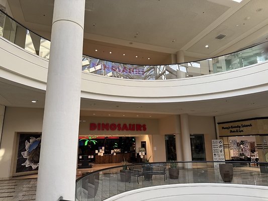 IMG 2985 Large IMG 2985 Large