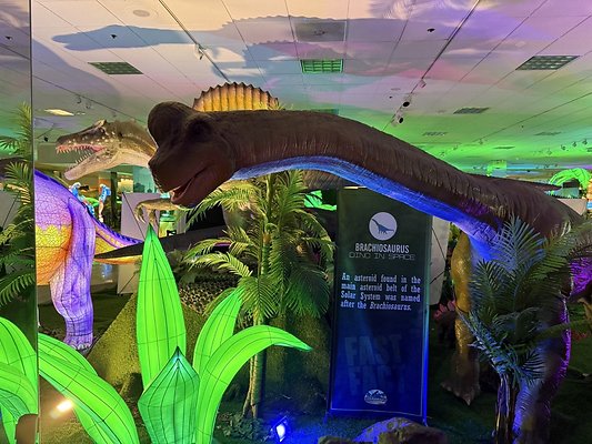 IMG 3006 Large IMG 3006 Large