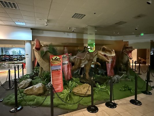 IMG 2970 Large IMG 2970 Large