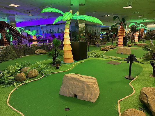 IMG 2989 Large IMG 2989 Large