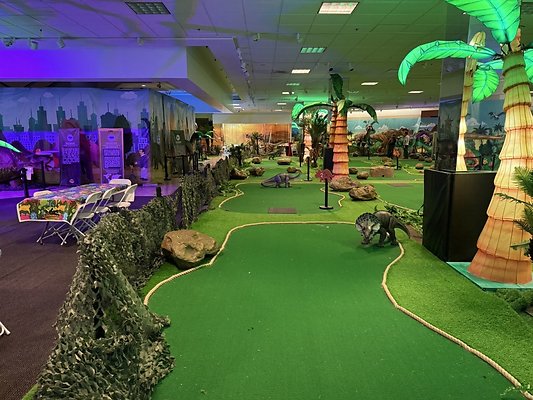 IMG 2992 Large IMG 2992 Large