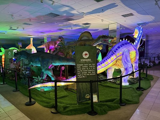 IMG 3002 Large IMG 3002 Large