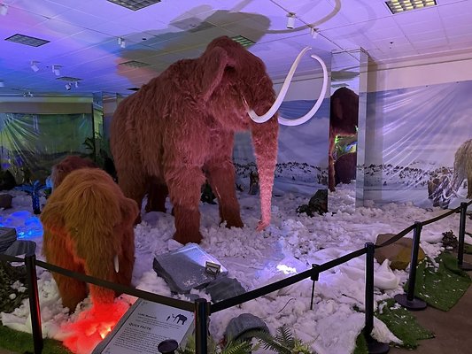 IMG 3004 Large IMG 3004 Large