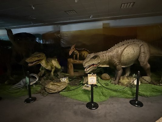 IMG 2976 Large IMG 2976 Large